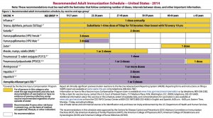 AdultVaxSchedule2014